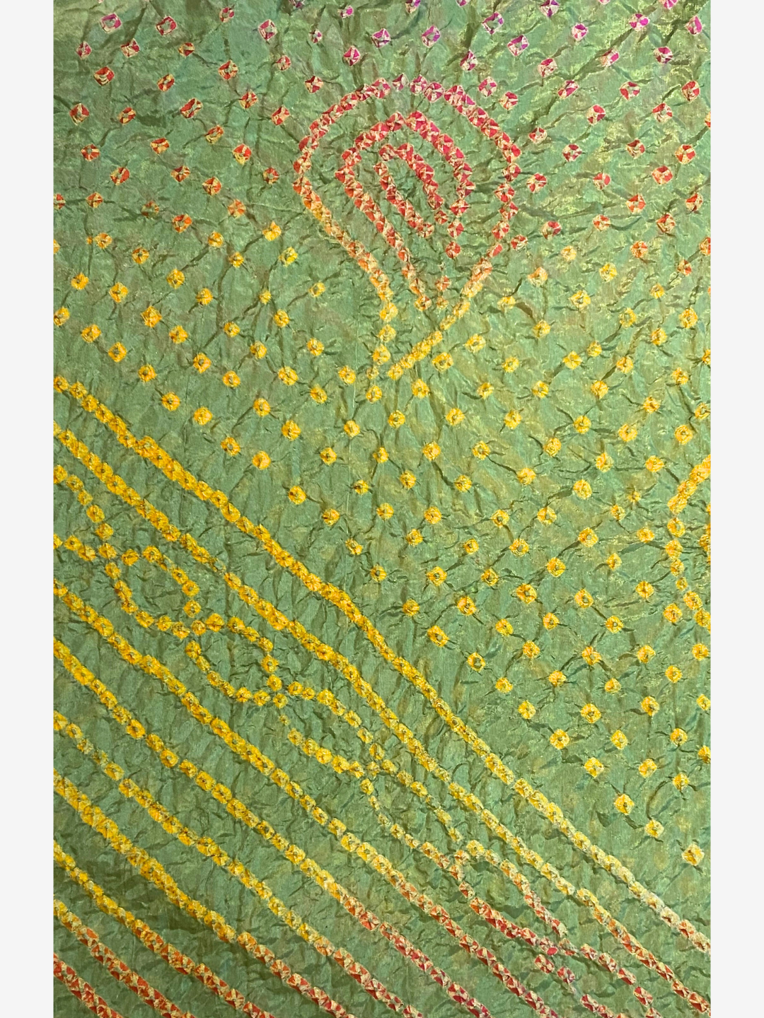 Forest Bandhani Saree