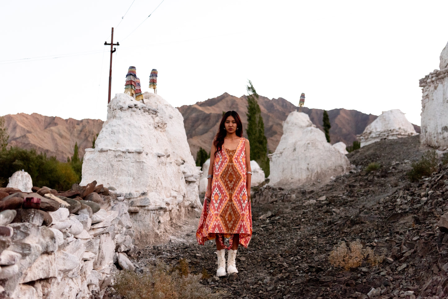 Fire Born Embroidered Dress